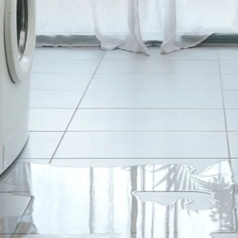Appliance Leak Cleanup in De Soto, IA