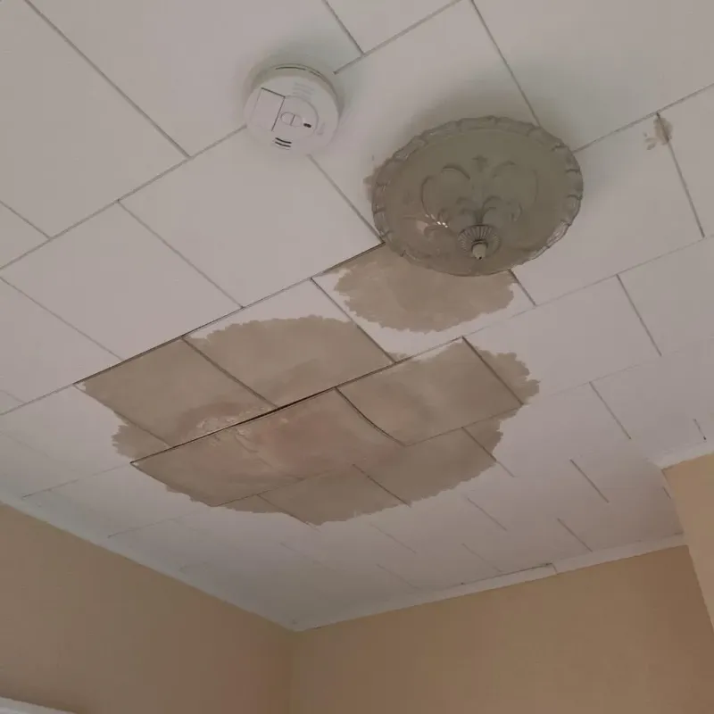 Ceiling Water Damage Repair in De Soto, IA