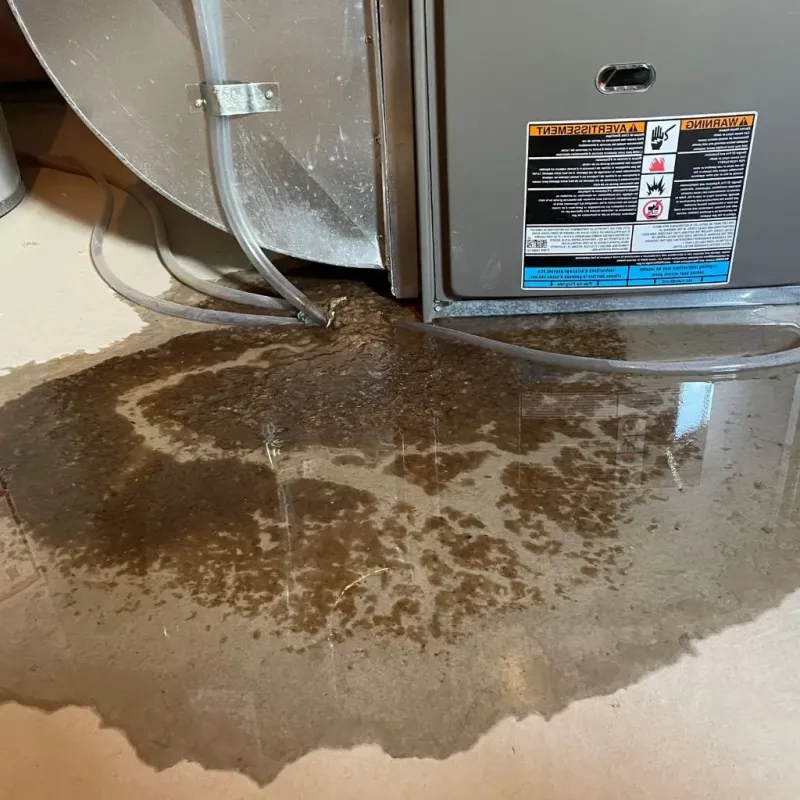 Pipe Burst and Leak Restoration in De Soto, IA