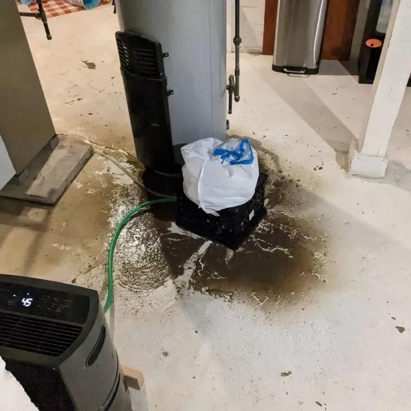 Sewage Backup Cleanup Service in De Soto, IA